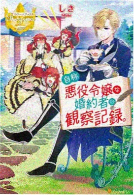 动画与漫画改编剧集字幕排版货架封面