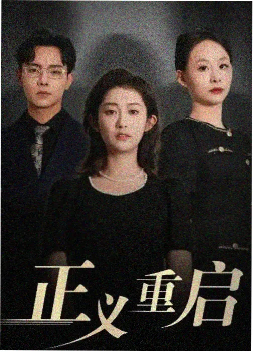 冷门佳作字幕重建剧集封面